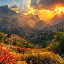 Природа